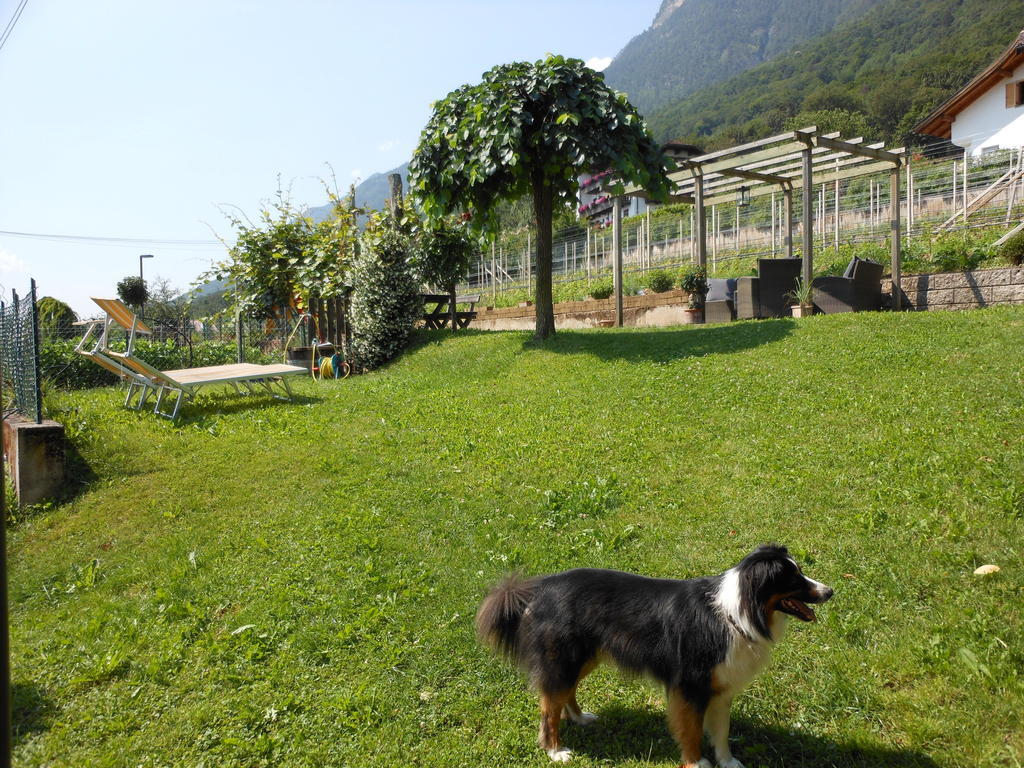 Haus Tirol Lägenhet Caldaro Exteriör bild